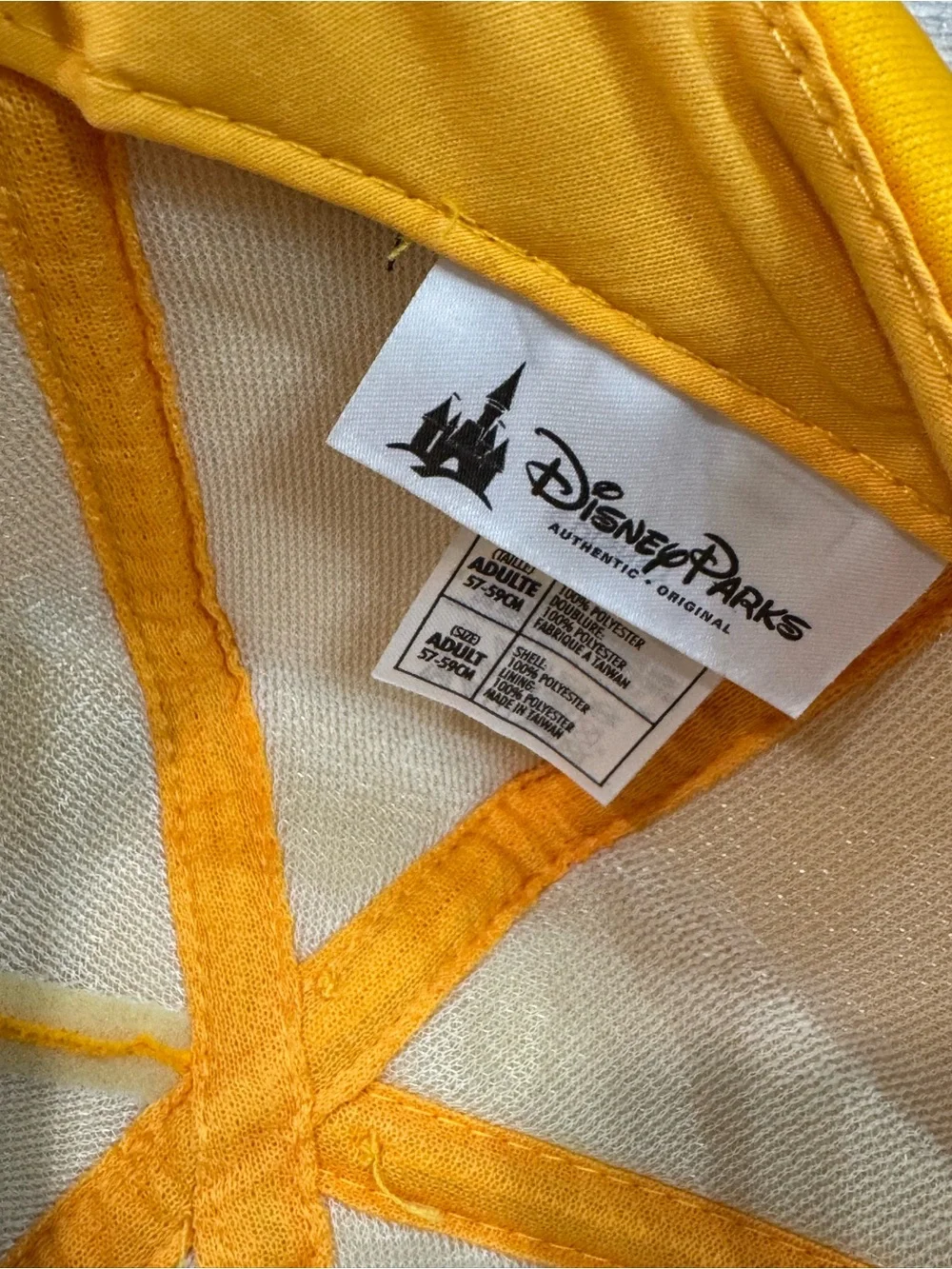 Disney playful pluto
